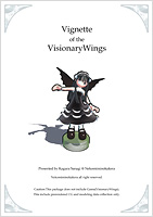 Vignette of the VisionaryWings